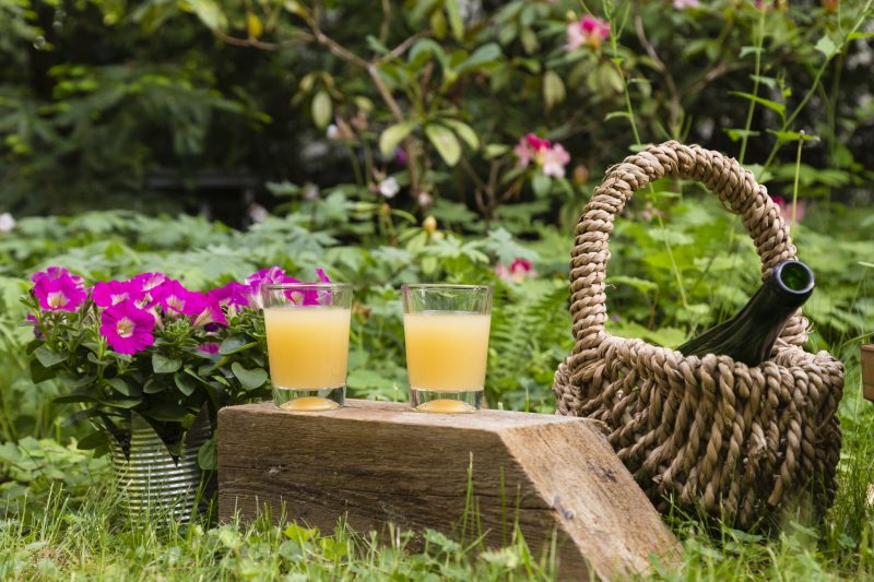 still life with juice, glass, bottle and basket in a garden